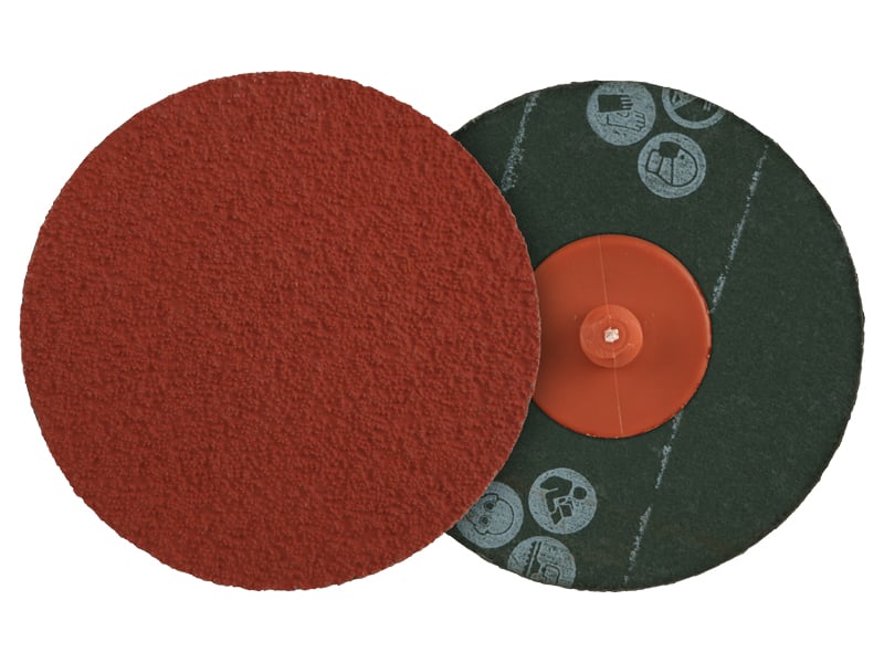 Tiger-Group-Shot-BD-oversized